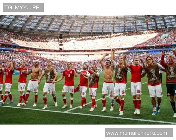 丹麦国家队迎战斯洛伐克球队全力争胜展现实力与风采