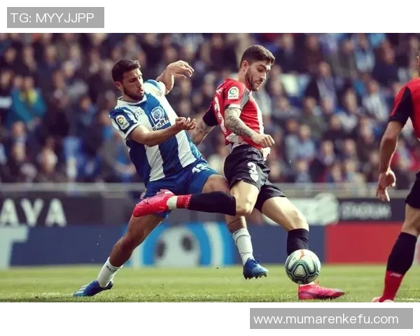 努涅斯的崛起与挑战：解析这位新星在足球界的影响力与未来潜力