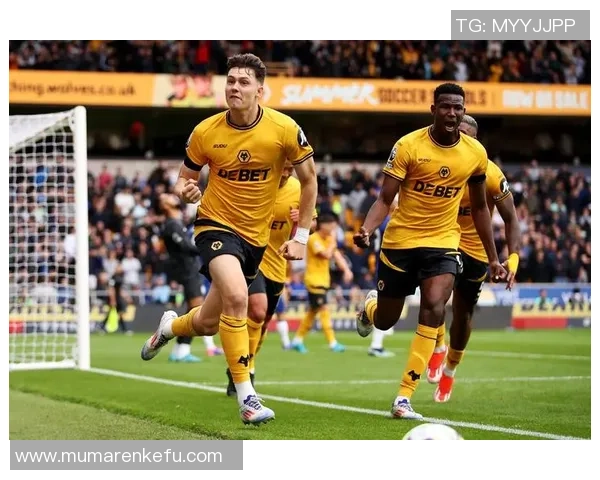 加的夫城与狼队激战正酣谁能在英超赛场上笑到最后