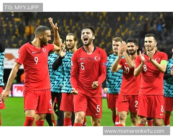 土耳其与法国足球对抗赛中球员受伤情况分析与影响探讨