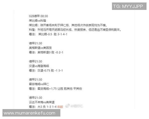 拜仁与汉堡上半场精彩对决分析及战术解析