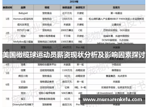 美国橄榄球运动员薪资现状分析及影响因素探讨