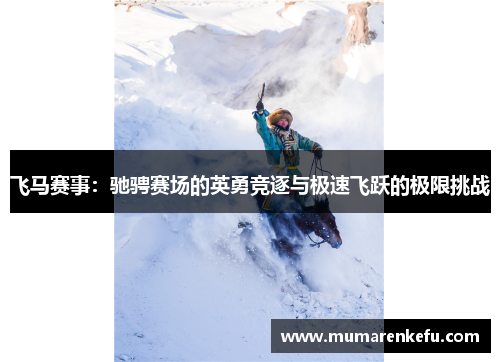 飞马赛事：驰骋赛场的英勇竞逐与极速飞跃的极限挑战